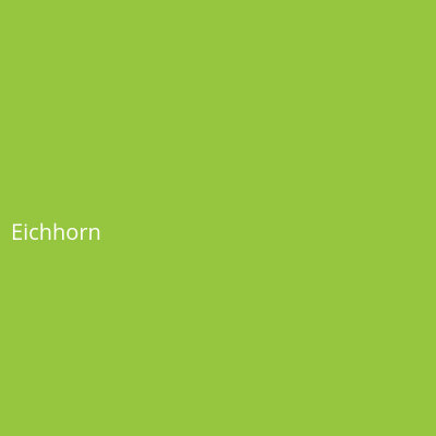 Eichhorn